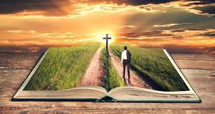 INSTRUÇÃO E ENSINO CONSTANTE