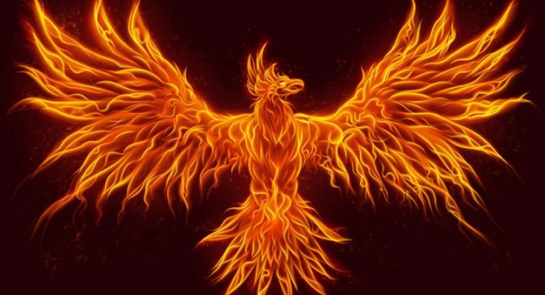 Como a Fênix, professores renascem das cinzas!