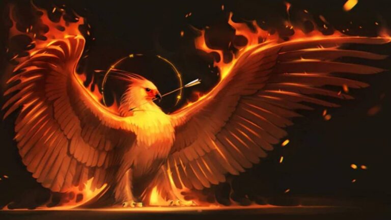 Renascendo das cinzas